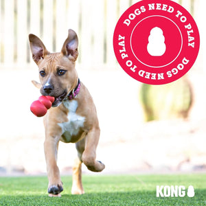 Dog running with a red ball in its mouth, with 'KONG' branding and 'DOGS NEED TO PLAY' logo at Pet Servo