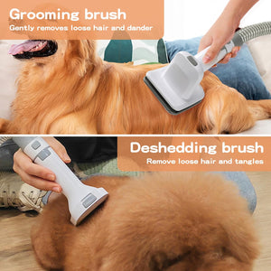 Grooming brush being used on a dog to remove loose hair and dander at Pet Servo