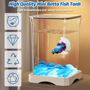 High-quality mini betta fish tank with a fish inside, on a beige background at Pet Servo