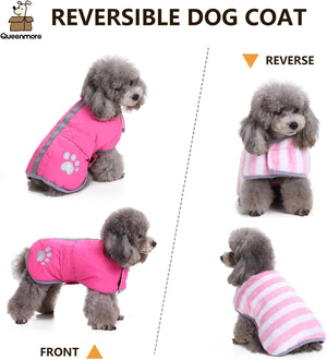 Reversible dog coat shown on a poodle with pink front and striped back, Queenmore brand visible at Pet Servo
