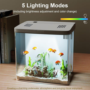 Small aquarium with fish and lighting controls on a wooden surface at Pet Servo