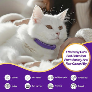 White cat with a purple collar lying on a person's arm, with text about managing cat behaviors at Pet Servo