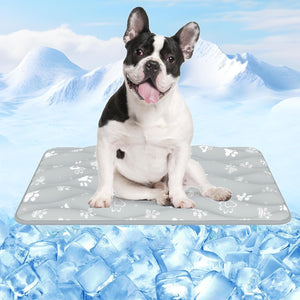 Dog sitting on a cooling pad with a mountain and ice cube background