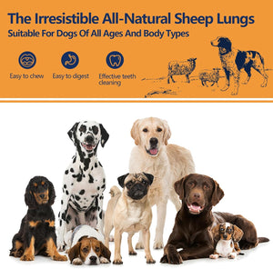 Promotional image of dogs with text about all-natural sheep lungs for dog health at Pet Servo