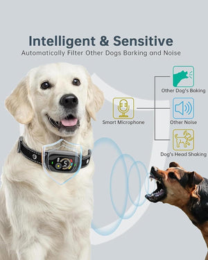 Dog wearing a smart collar with a diagram showing how it filters barking and noise, on a light gray background at Pet Servo