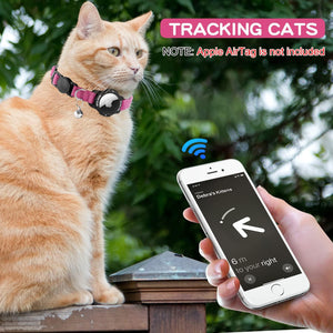 Cat wearing a tracking collar with a smartphone app displayed, outdoors at Pet Servo