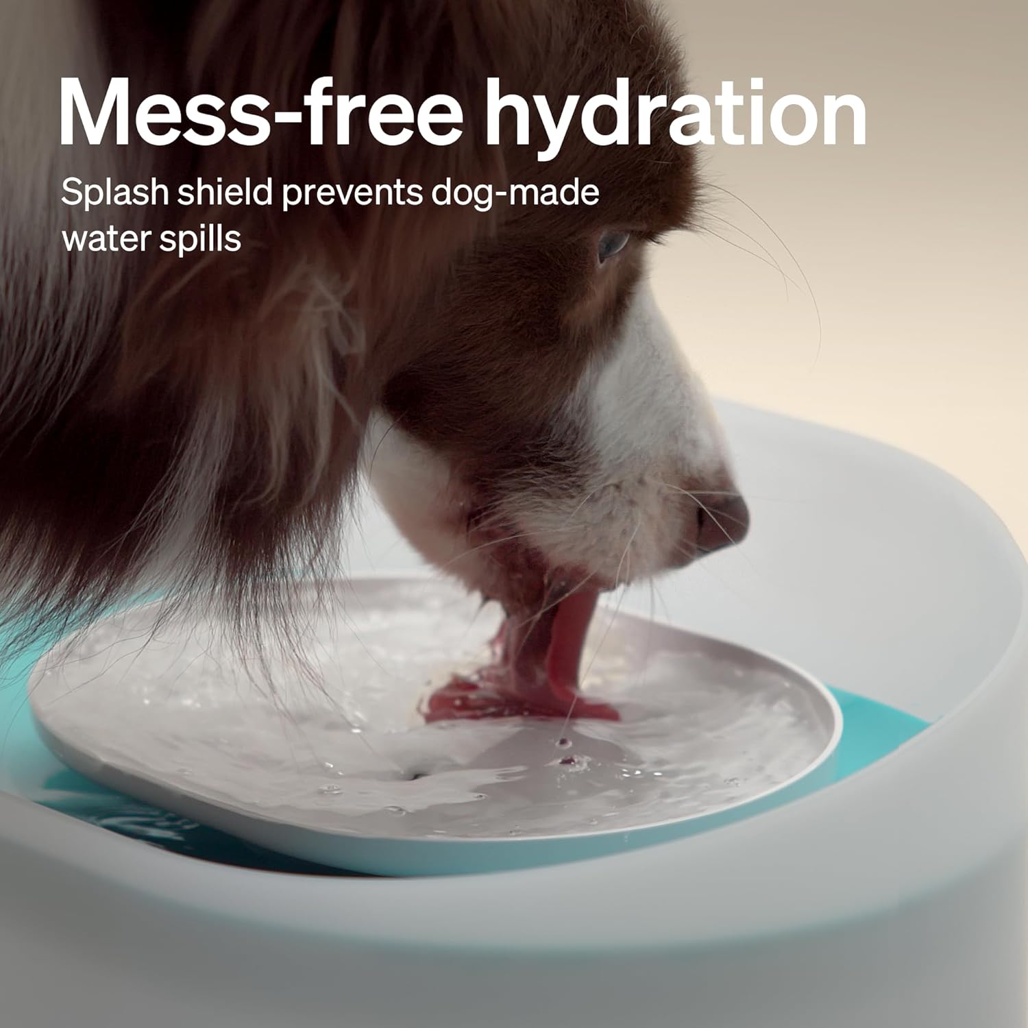 PETLIBRO - Dog Water Fountain, 8L Automatic Dispenser for Large Dogs, Filtered, Anti-Splash, Quiet