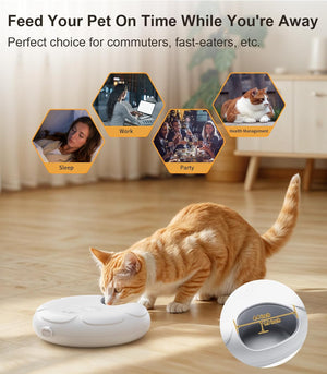 Cat interacting with a pet feeder on a wooden floor, with text about its use cases at Pet Servo