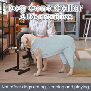 A light gray heather dog cone collar worn by a yellow Labrador retriever, shown in a home setting with a person sitting behind it. Large text overlays read 'Dog Cone Collar Alternative' and 'Not affect dogs eating, sleeping and playing.