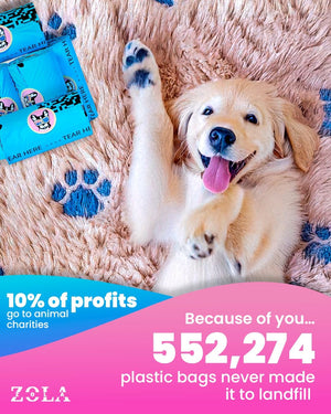 Dog lying on a fluffy pink blanket with ZOIA products and sustainability message at Pet Servo
