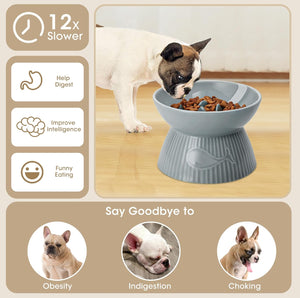 Dog eating from a elevated bowl with health benefits listed on a beige background at Pet Servo
