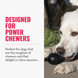 Dog chewing on a toy with text 'Designed for power chewers' on a white background at Pet Servo