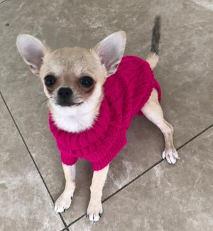 Knitted Sweater M – Cozy & Stylish for Small Pets - Petservo