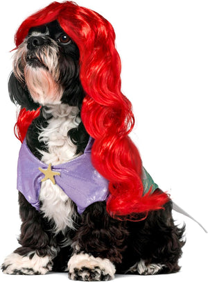 A small black and white dog wearing a mermaid costume with a bright red wig and a purple costume top with a gold star, photographed on a plain white background at Pet Servo