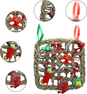 Pet toy with red and green components on a white background at Pet Servo