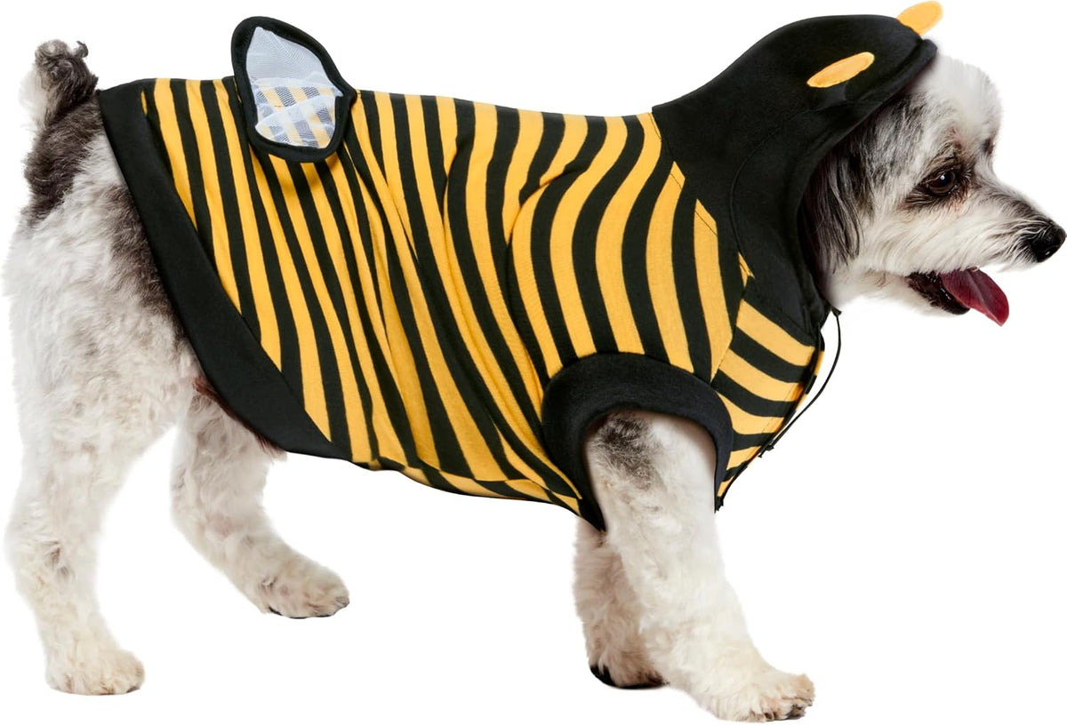 Dog wearing a bee costume with black and yellow stripes at Pet Servo