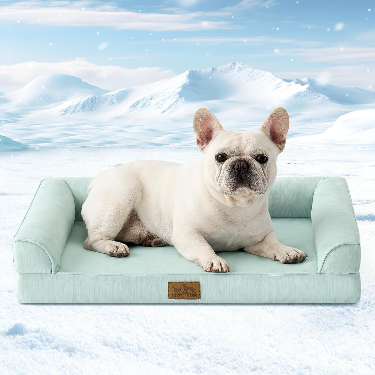 A white French Bulldog lies on a light mint green pet bed with a snowy mountain backdrop at Pet Servo