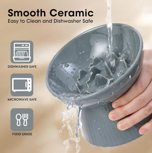 Gray ceramic bowl with water being poured into it, held by a hand, on a beige background at Pet Servo