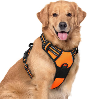 Rabbitgoo - Outdoor Adjustable Pet Harness (Orange) at Pet Servo