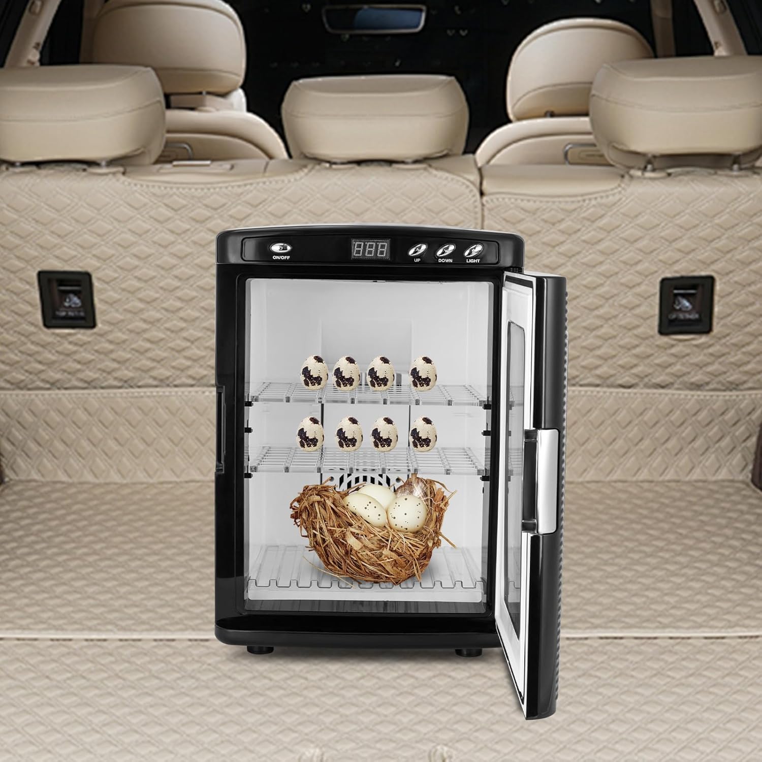 A compact black egg incubator with a glass door stands open in the spacious beige cargo area of a vehicle. Inside, three small ducklings are visible on the top shelf, and a nest with eggs sits on the bottom rack.