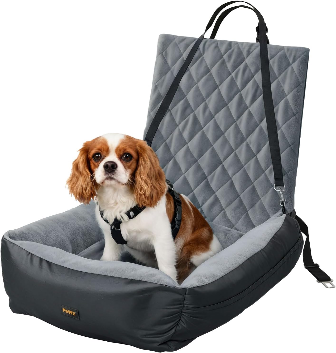 Dog sitting in a gray pet car seat with a white background at Pet Servo