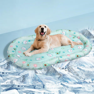 Dog lying on a circular inflatable pool with cartoon designs on a snowy background at Pet Servo
