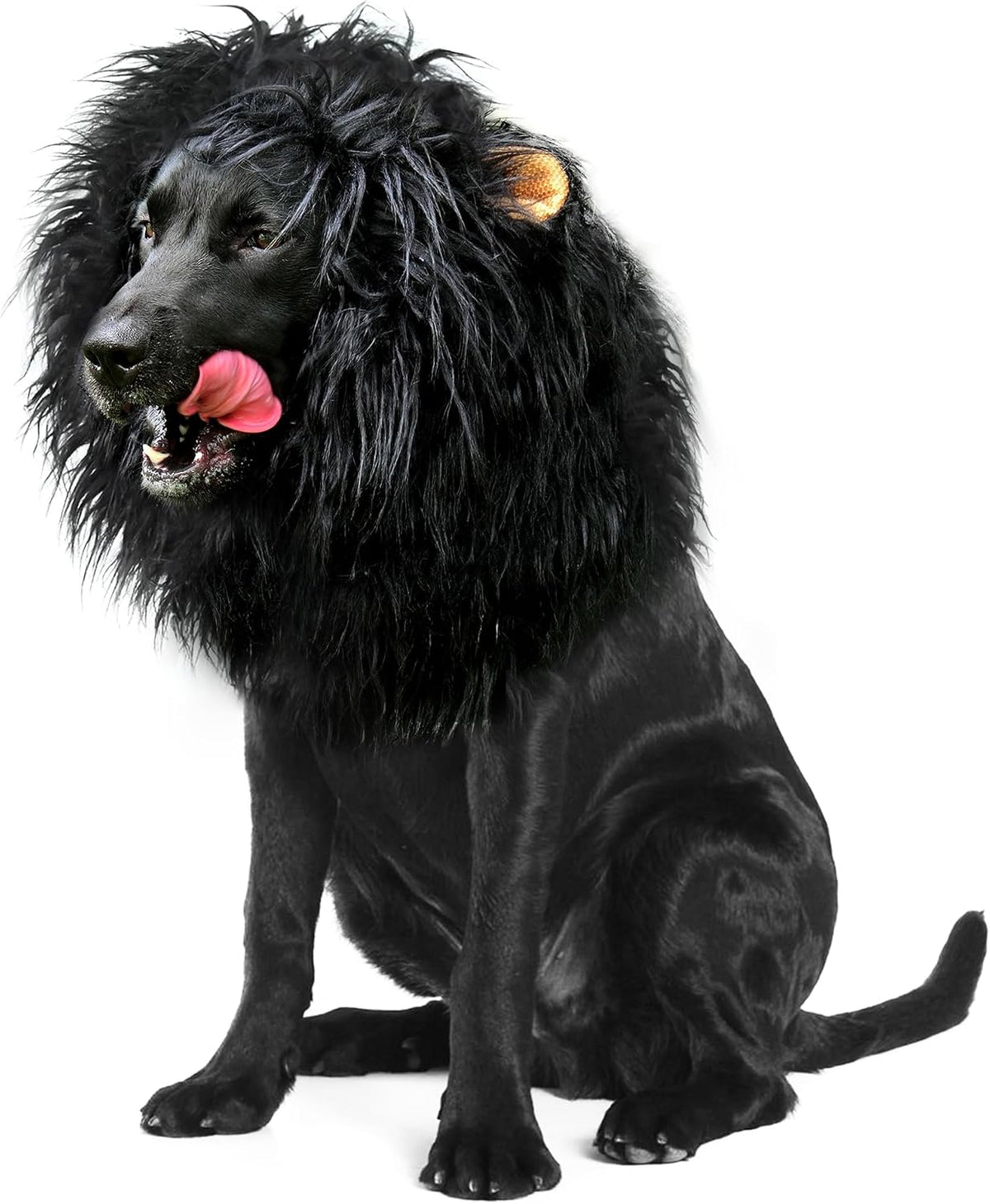Onmygogo - Lion Mane Wig for Dogs with Ears, Funny Pet Costumes for Halloween