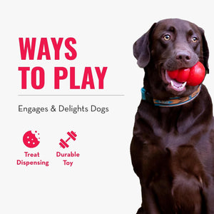 Dog playing with a red ball, text 'WAYS TO PLAY' and 'Engages & Delights Dogs' on a white background at Pet Servo