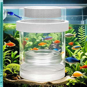 Fish tank with a cylindrical filter and colorful fish swimming inside at Pet Servo