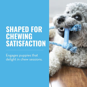 Dog chewing on a blue rope toy with text about chewing satisfaction at Pet Servo