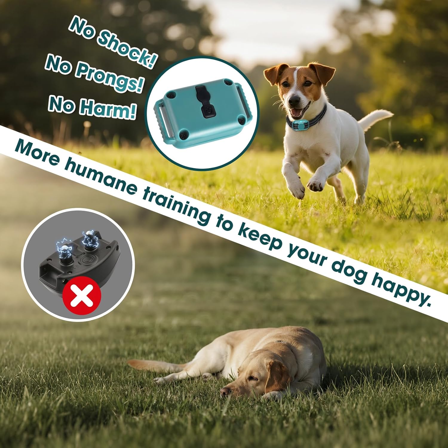 Dog running in a field with a product for humane dog training, emphasizing no shock, prongs, or harm at Pet Servo