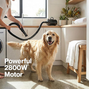 Dog standing on a kitchen floor with a powerful 2800W motor device, with text overlay at Pet Servo