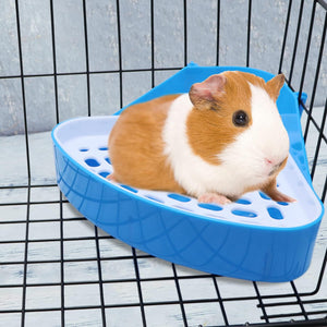 Guinea pig on a blue plastic platform inside a wire cage at Pet Servo