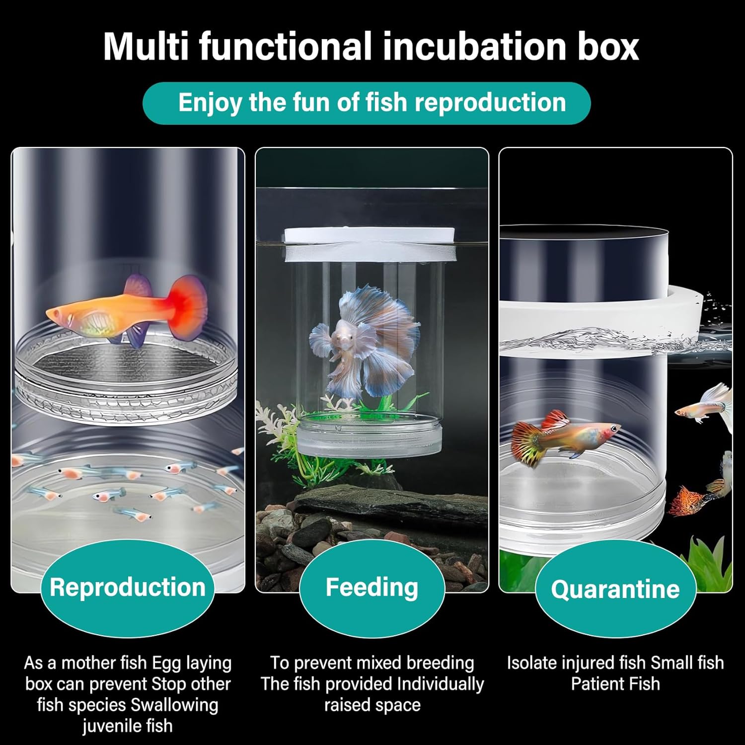Multi-functional incubation box for fish reproduction, feeding, and quarantine with images of fish and text explaining its uses at Pet Servo