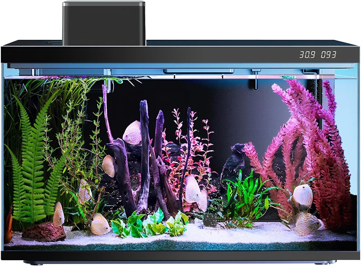 Fish tank with plants, rocks, and corals on a white background at Pet Servo