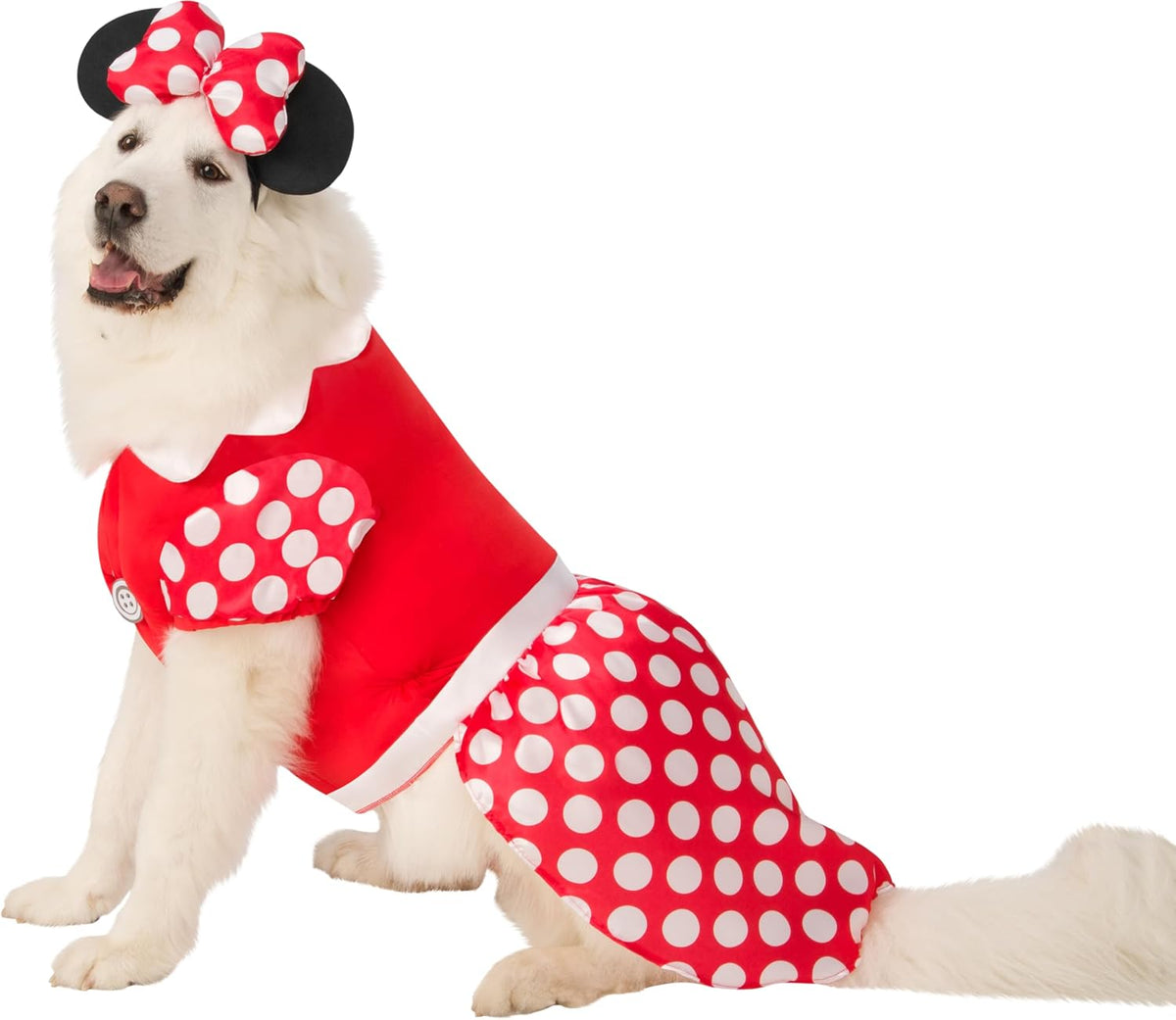 Dog wearing a red and white polka dot costume with a bow on a white background at Pet Servo