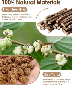 Infographic about silvervine sticks and galls fruits with text and images at Pet Servo