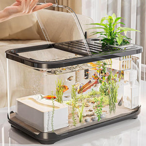 Small aquarium with fish and plants on a table at Pet Servo