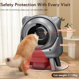 Cat using a pet door with labeled safety features and a cat standing next to it at Pet Servo