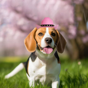 Dog wearing a pink cowboy hat in a grassy area with cherry blossoms in the background at Pet Servo