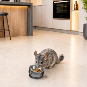 A gray chameleon rodent eating from a small metallic bowl on a light beige floor in a modern kitchen setting at Pet Servo