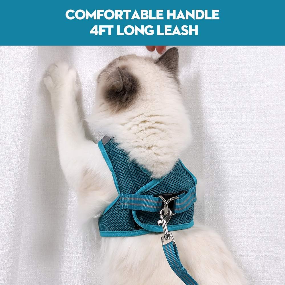 Cat wearing a blue harness and leash with text about a comfortable handle and 4ft long leash at Pet Servo