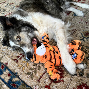 Dog playing with a tiger-striped toy on a patterned carpet at Pet Servo