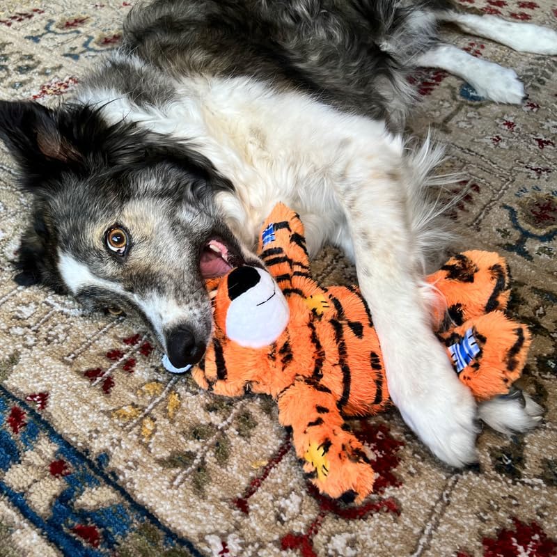 Dog playing with a tiger-striped toy on a patterned carpet at Pet Servo