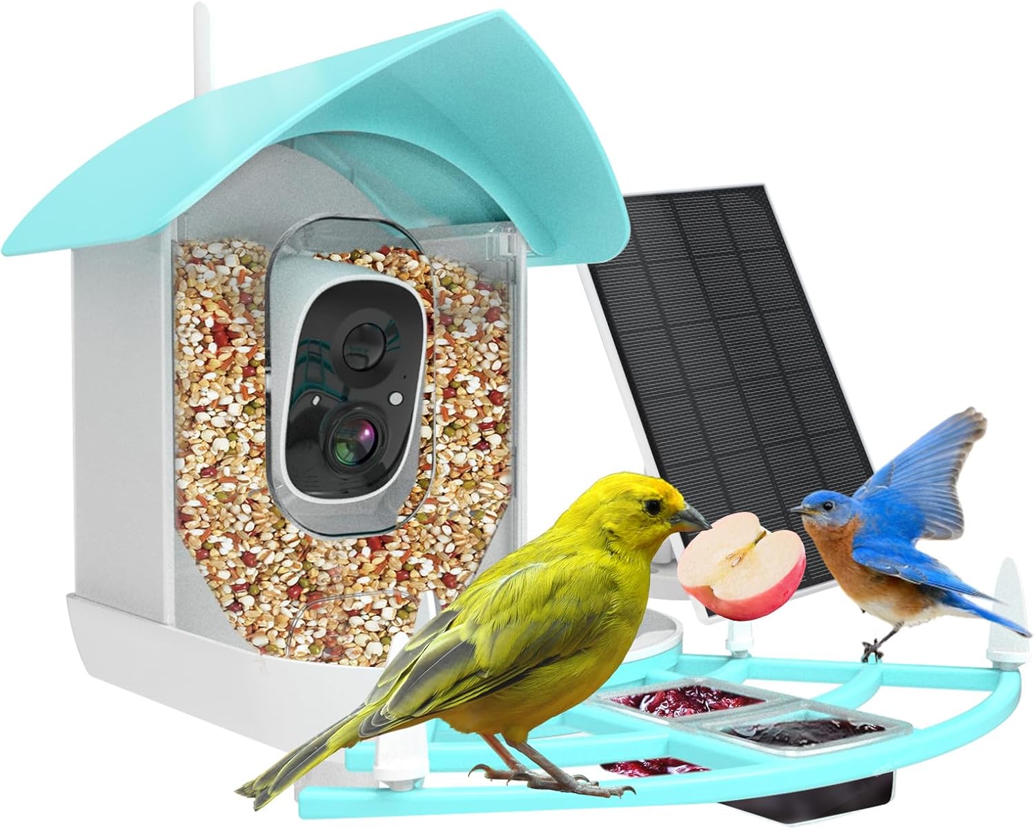 Gyozol - Smart AI Bird Feeder with 2K Camera & Solar Power