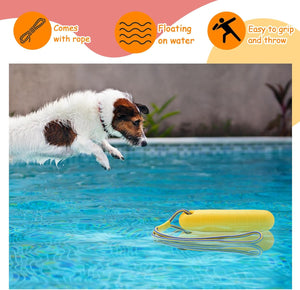 Dog jumping into a pool with a yellow dog toy on a rope floating nearby at Pet Servo