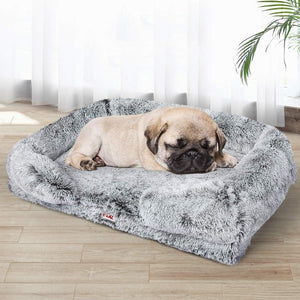 Dog resting on a fluffy gray pet bed in a bright room with curtains and a plant at Pet Servo