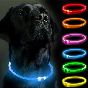 Dehlso - LED Dog Collar – Rechargeable Light-Up Safety Gear - Petservo