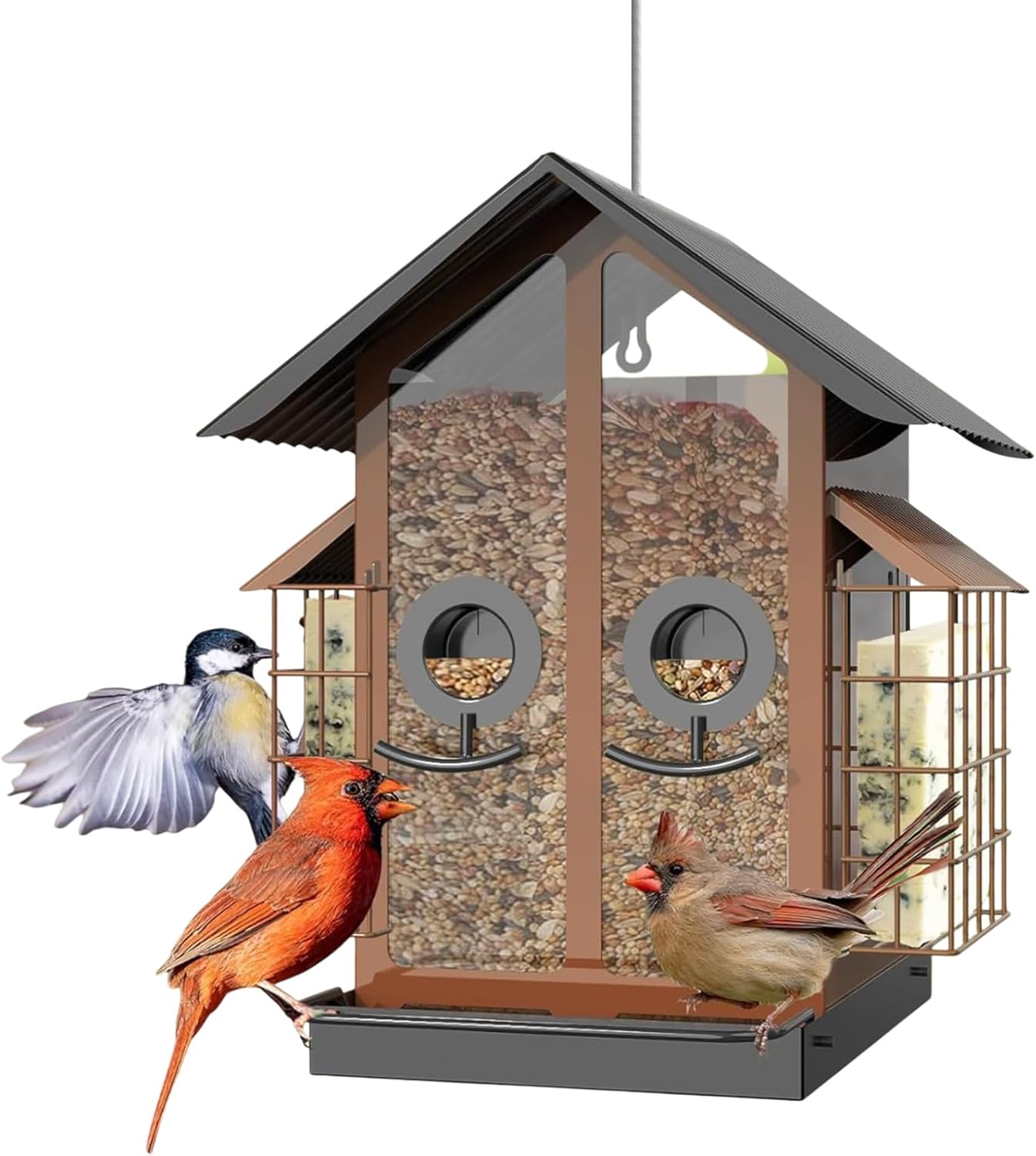 Bird feeder with birds on a white background at Pet Servo