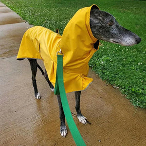 Yellow Waterproof Fleece Coat for Whippets & Greyhounds - Petservo